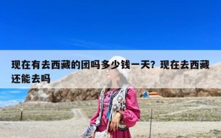 現在有去西藏的團嗎多少錢一天？現在去西藏還能去嗎