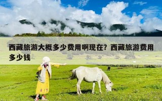 西藏旅游大概多少費用啊現(xiàn)在？西藏旅游費用多少錢