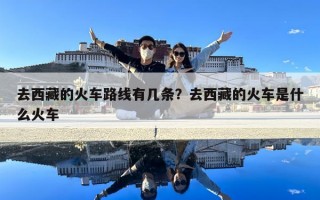 去西藏的火車路線有幾條？去西藏的火車是什么火車
