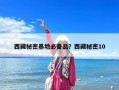 西藏秘密基地必備品？西藏秘密10