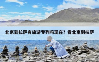 北京到拉薩有旅游專列嗎現(xiàn)在？看北京到拉薩