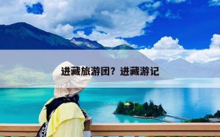 進藏旅游團？進藏游記