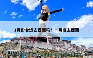 1月份合適去西藏嗎？一月底去西藏