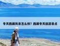 冬天西藏風(fēng)景怎么樣？西藏冬天旅游景點(diǎn)