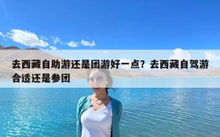 去西藏自助游還是團游好一點？去西藏自駕游合適還是參團
