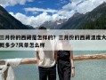 三月份的西藏是怎樣的？三月份的西藏溫度大概多少?風景怎么樣