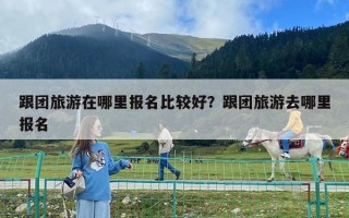跟團(tuán)旅游在哪里報(bào)名比較好?跟團(tuán)旅游去哪里報(bào)名 跟團(tuán)旅游在哪里報(bào)名比較好?跟團(tuán)旅游去哪里報(bào)名