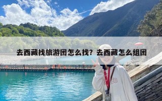 去西藏找旅游團怎么找？去西藏怎么組團
