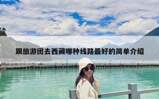 跟旅游團去西藏哪種線路最好的簡單介紹