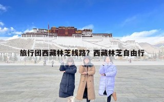 旅行團西藏林芝線路？西藏林芝自由行