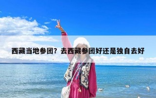 西藏當地參團？去西藏參團好還是獨自去好
