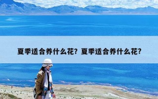 夏季適合養(yǎng)什么花？夏季適合養(yǎng)什么花?