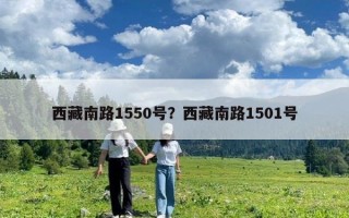 西藏南路1550號？西藏南路1501號