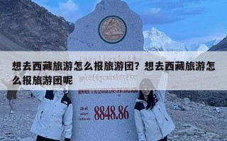 想去西藏旅游怎么報旅游團？想去西藏旅游怎么報旅游團呢