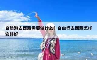 自助游去西藏需要做什么？自由行去西藏怎樣安排好