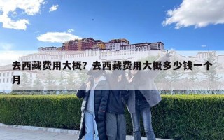 去西藏費用大概？去西藏費用大概多少錢一個月