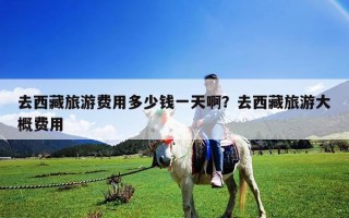 去西藏旅游費用多少錢一天啊？去西藏旅游大概費用