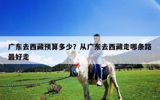 廣東去西藏預算多少？從廣東去西藏走哪條路最好走