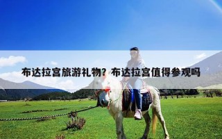 布達(dá)拉宮旅游禮物？布達(dá)拉宮值得參觀嗎