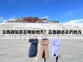 去西藏旅游去哪些地方？去西藏必去的地方