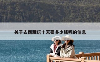 關于去西藏玩十天要多少錢呢的信息