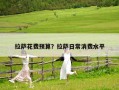 拉薩花費預算？拉薩日常消費水平