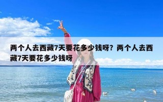 兩個人去西藏7天要花多少錢呀？兩個人去西藏7天要花多少錢呀