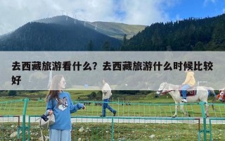 去西藏旅游看什么？去西藏旅游什么時候比較好