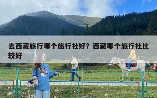去西藏旅行哪個(gè)旅行社好？西藏哪個(gè)旅行社比較好