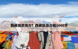 西藏旅游簡介？西藏旅游介紹1000字