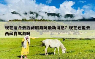 現在適合去西藏旅游嗎最新消息？現在還能去西藏自駕游嗎
