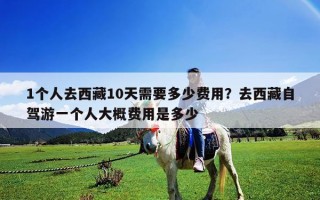 1個人去西藏10天需要多少費用？去西藏自駕游一個人大概費用是多少