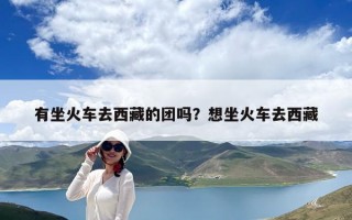 有坐火車去西藏的團嗎？想坐火車去西藏