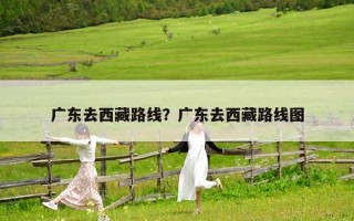 廣東去西藏路線？廣東去西藏路線圖