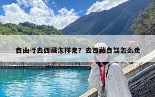 自由行去西藏怎樣走？去西藏自駕怎么走