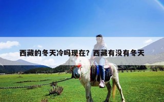 西藏的冬天冷嗎現(xiàn)在？西藏有沒有冬天
