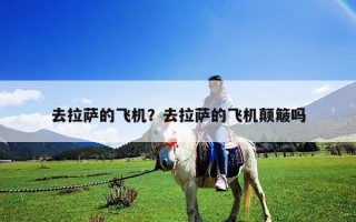 去拉薩的飛機？去拉薩的飛機顛簸嗎
