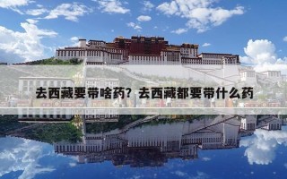 去西藏要帶啥藥？去西藏都要帶什么藥