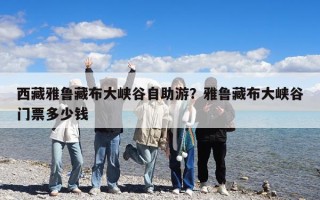 西藏雅魯藏布大峽谷自助游？雅魯藏布大峽谷門票多少錢