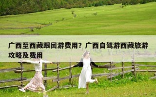廣西至西藏跟團游費用？廣西自駕游西藏旅游攻略及費用