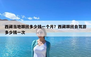 西藏當(dāng)?shù)馗鷪F(tuán)多少錢一個(gè)月？西藏跟團(tuán)自駕游多少錢一次