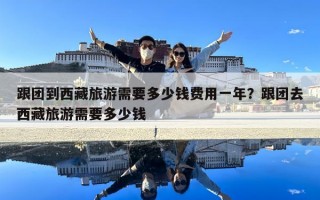 跟團到西藏旅游需要多少錢費用一年？跟團去西藏旅游需要多少錢