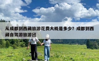 從成都到西藏旅游花費大概是多少？成都到西藏自駕游旅游團