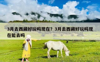3月去西藏好玩嗎現(xiàn)在？3月去西藏好玩嗎現(xiàn)在能去嗎