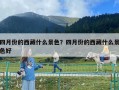 四月份的西藏什么景色？四月份的西藏什么景色好