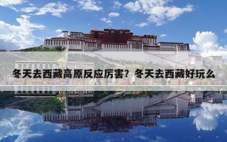 冬天去西藏高原反應厲害？冬天去西藏好玩么