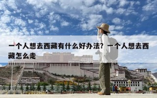 一個人想去西藏有什么好辦法？一個人想去西藏怎么走