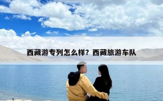 西藏游專列怎么樣？西藏旅游車隊(duì)