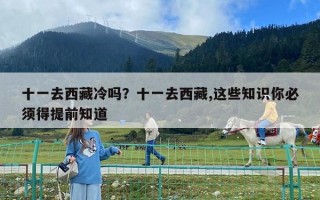 十一去西藏冷嗎？十一去西藏,這些知識你必須得提前知道