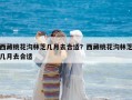 西藏桃花溝林芝幾月去合適？西藏桃花溝林芝幾月去合適